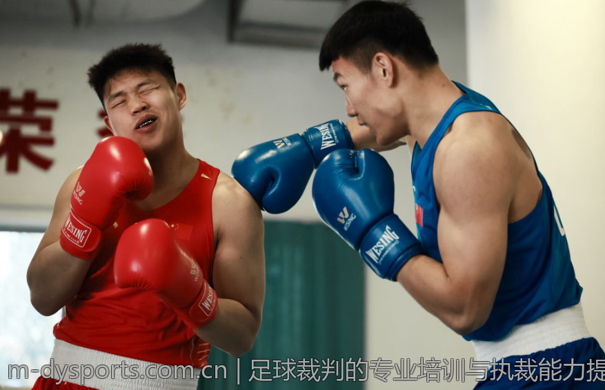 足球裁判的专业培训与执裁能力提升