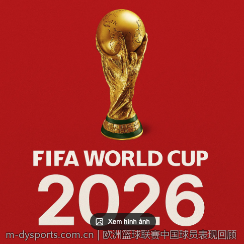 2023年巴西女排国家队最新征召名单公布